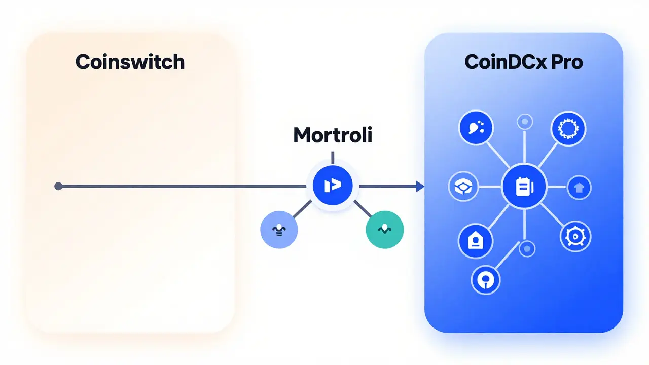 Vergleich verschiedener Krypto-Investitionsstrategien als Diagramm