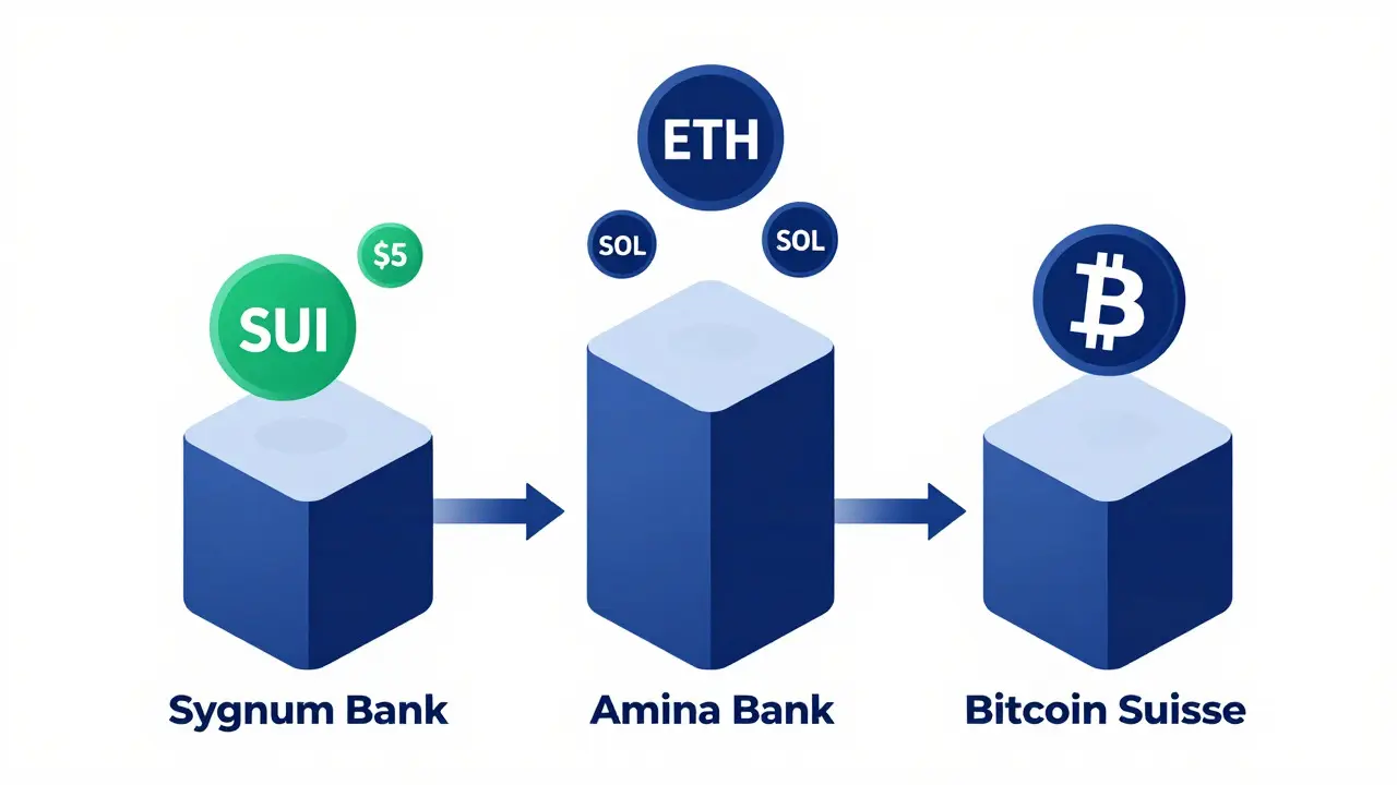 Schematische Darstellung der Dienste von Sygnum, Amina und Bitcoin Suisse